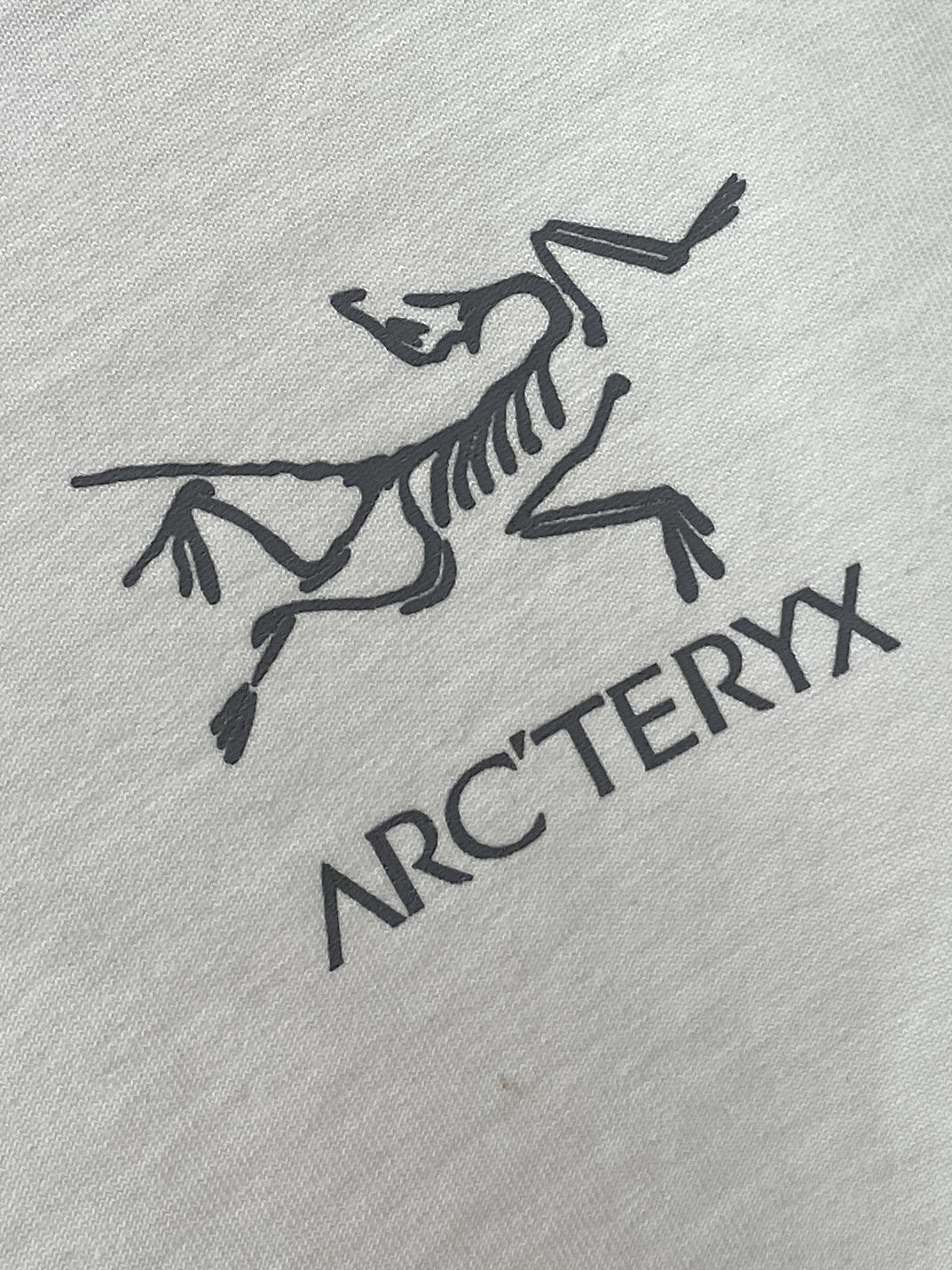 始祖鸟、2025新品长袖卫衣，帅气时尚，简约百搭款。胸前顶级印花图案字母logo，面料棉 不仅挺括，保持