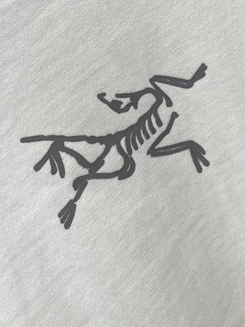 始祖鸟、2025新品长袖卫衣，帅气时尚，简约百搭款。胸前顶级印花图案logo，面料棉 不仅挺括，保持潮流