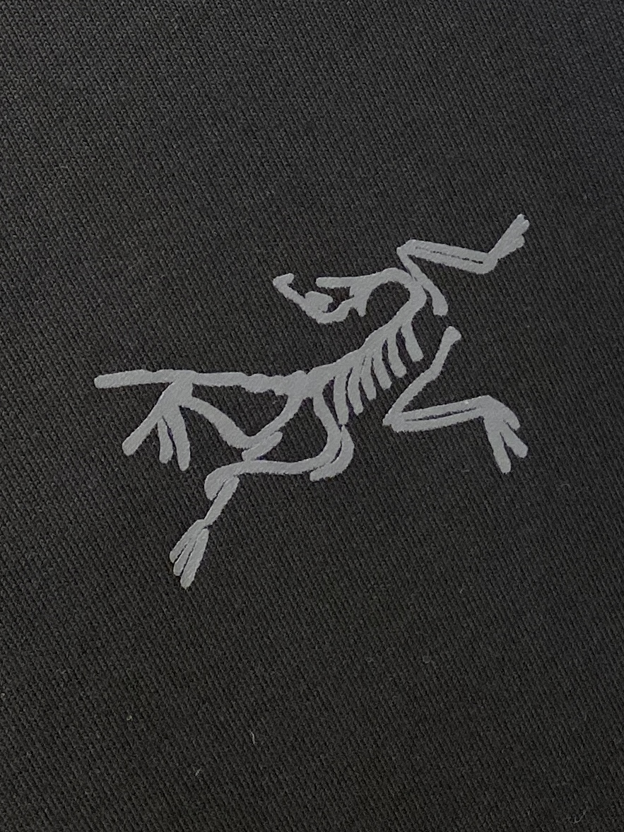 始祖鸟、2025新品长袖卫衣，帅气时尚，简约百搭款。胸前顶级印花图案logo，面料棉 不仅挺括，保持潮流