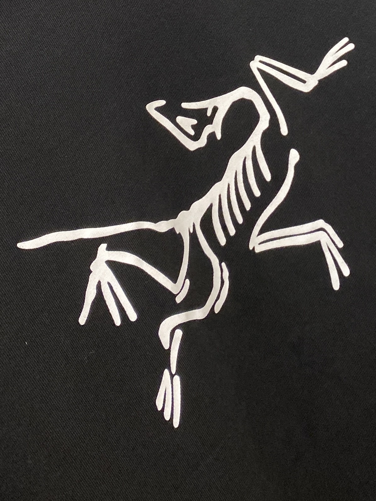 始祖鸟、2025新品长袖卫衣，帅气时尚，简约百搭款。胸口顶级印花图案logo，面料棉 不仅挺括，保持潮流