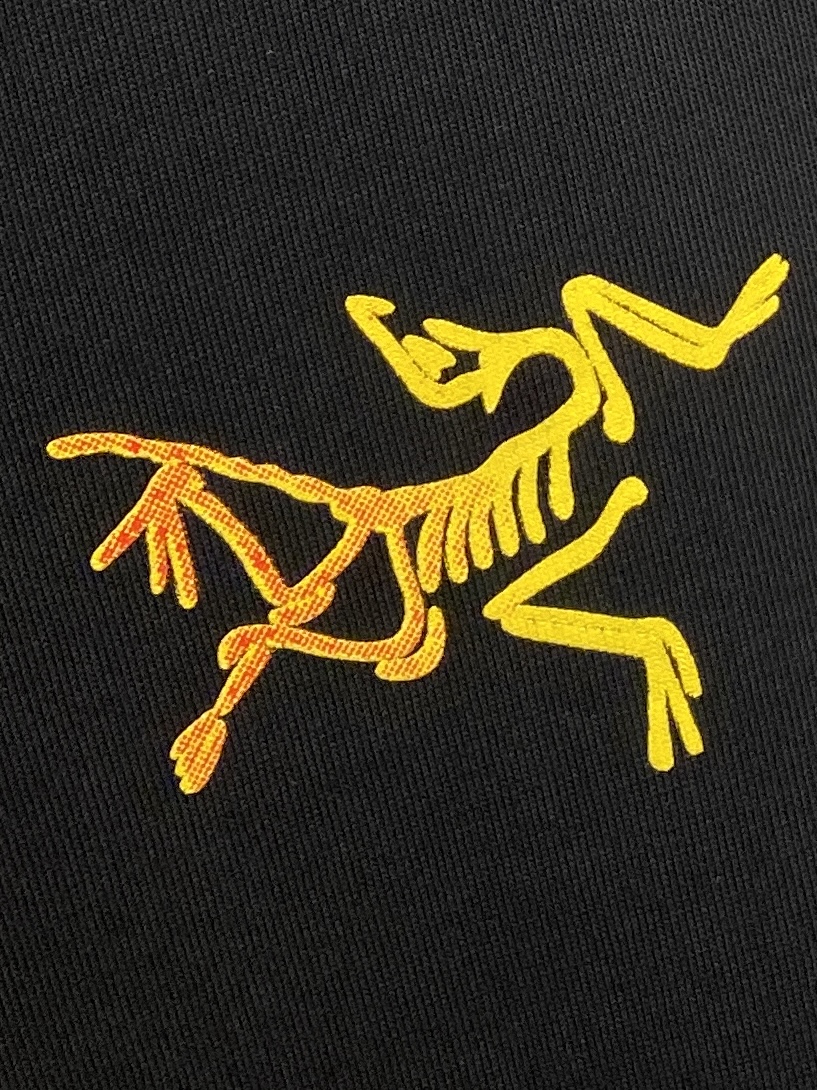 始祖鸟、2025新品长袖卫衣，帅气时尚，简约百搭款。胸前顶级印花图案logo，面料棉 不仅挺括，保持潮流