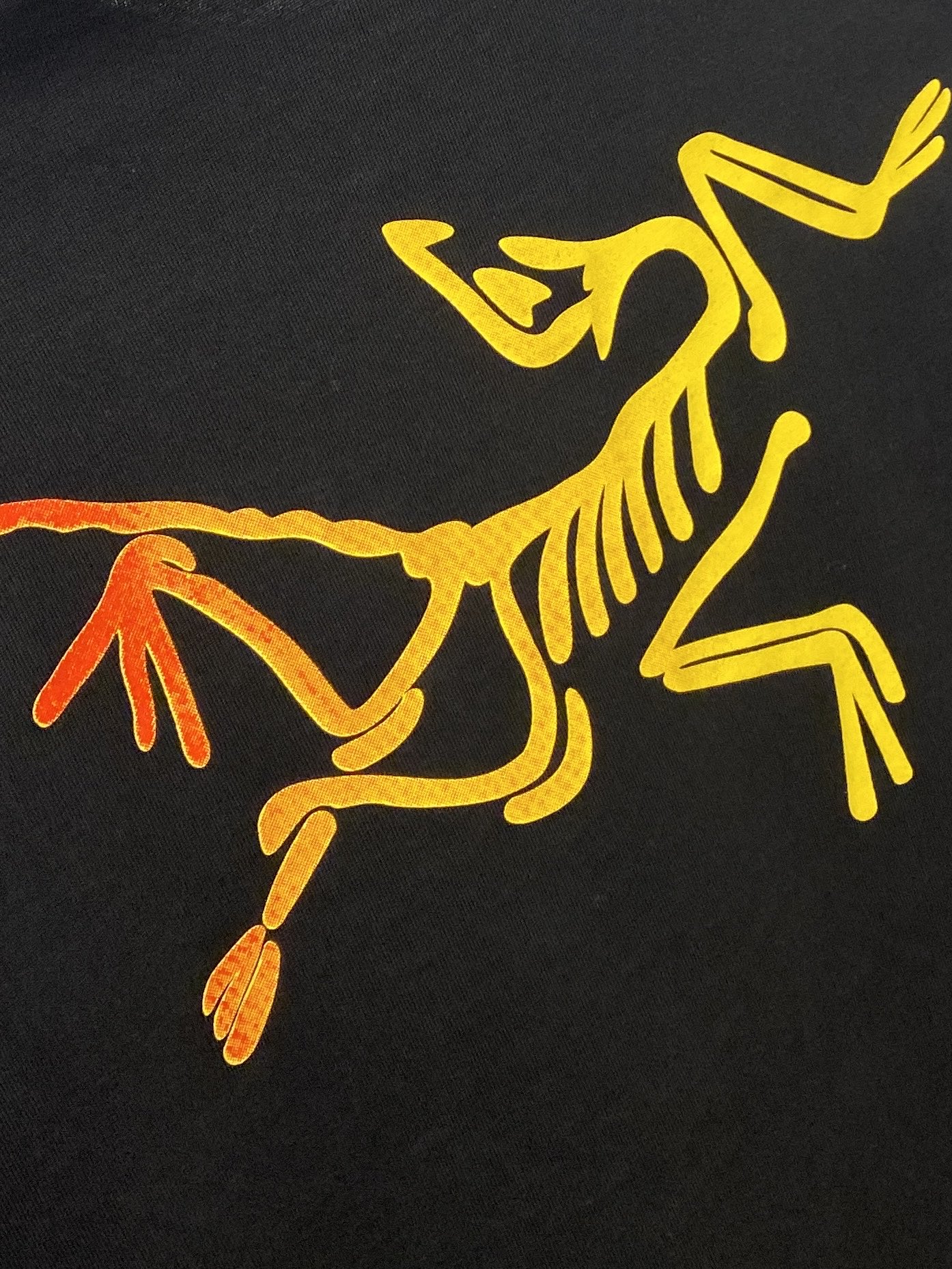 始祖鸟、2025新品长袖卫衣，帅气时尚，简约百搭款。胸前顶级印花图案logo，面料棉 不仅挺括，保持潮流