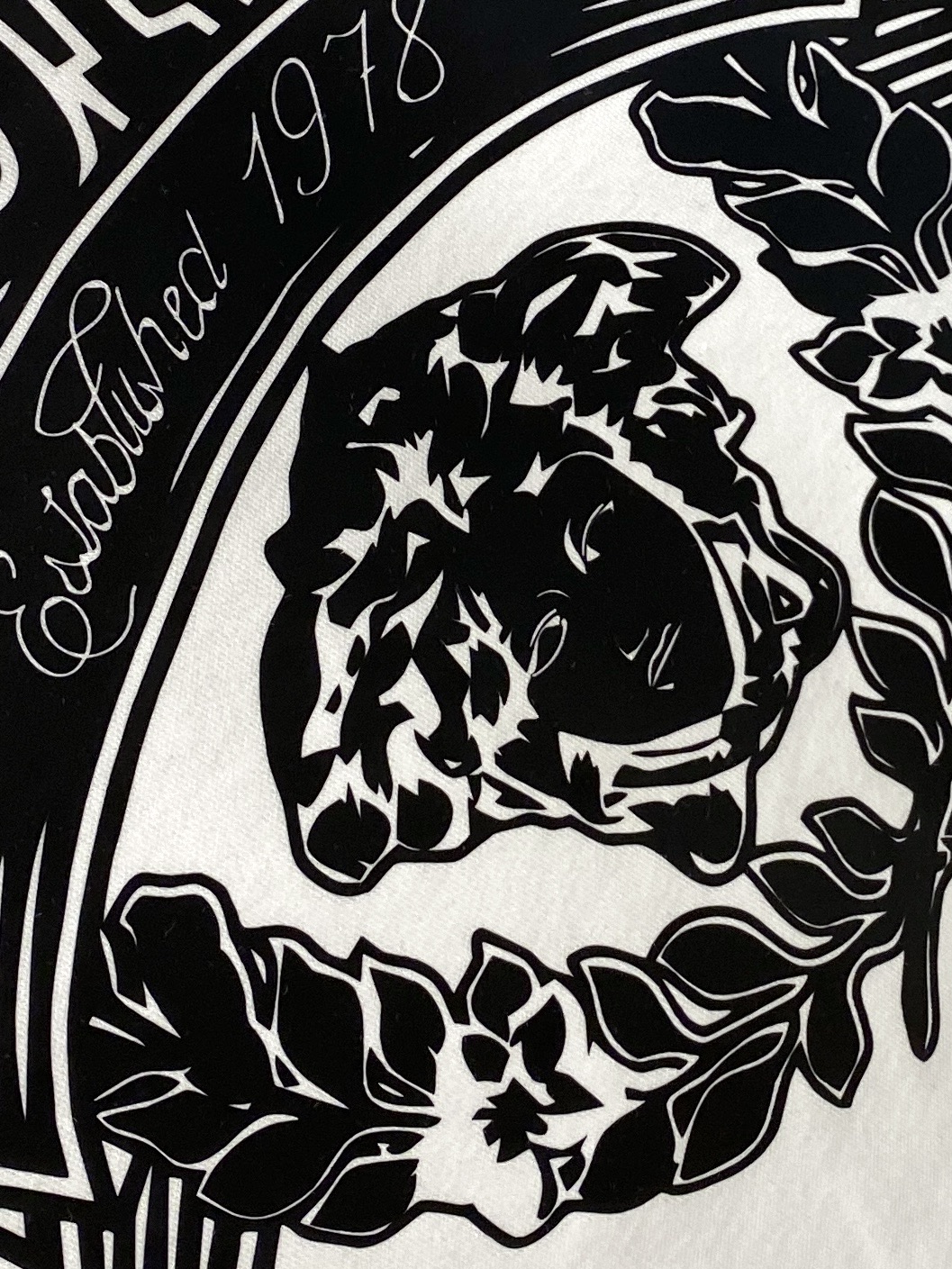 范思哲、2025最新款短袖T恤，帅气时尚，胸前顶级印花图案字母logo，简约百搭款。面料棉 不仅挺括，保