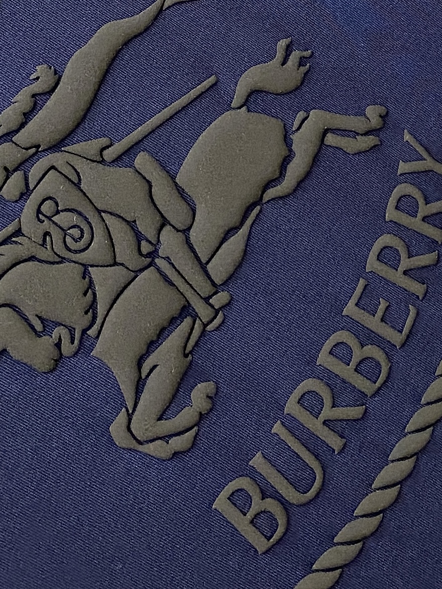 巴宝莉、2025最新款短袖T恤，帅气时尚，胸口顶级直喷工艺字母图案logo，简约百搭款。面料棉 不仅挺括