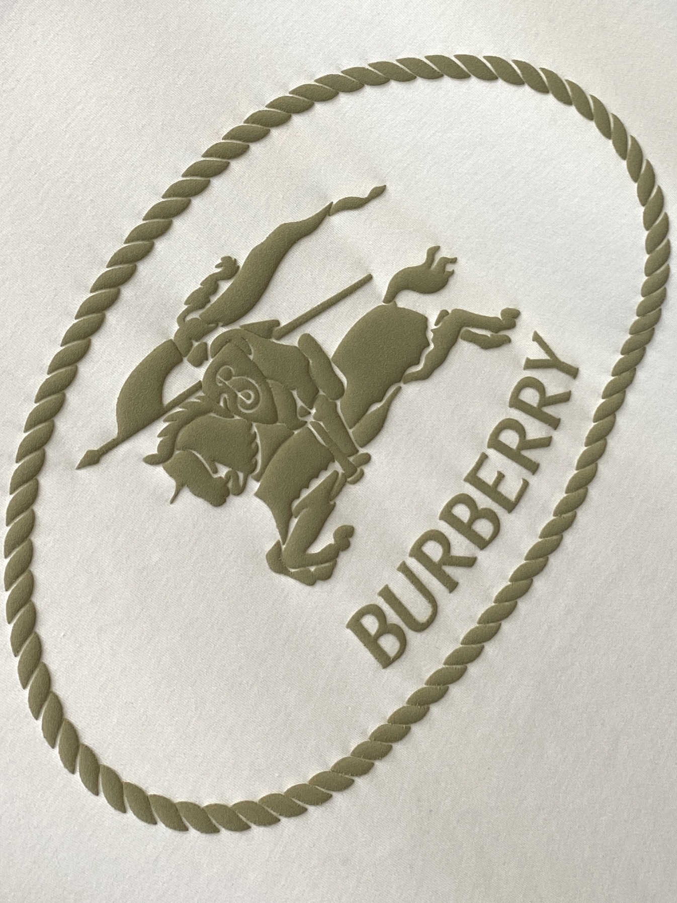 巴宝莉、2025最新款短袖T恤，帅气时尚，胸口顶级直喷工艺字母图案logo，简约百搭款。面料棉 不仅挺括