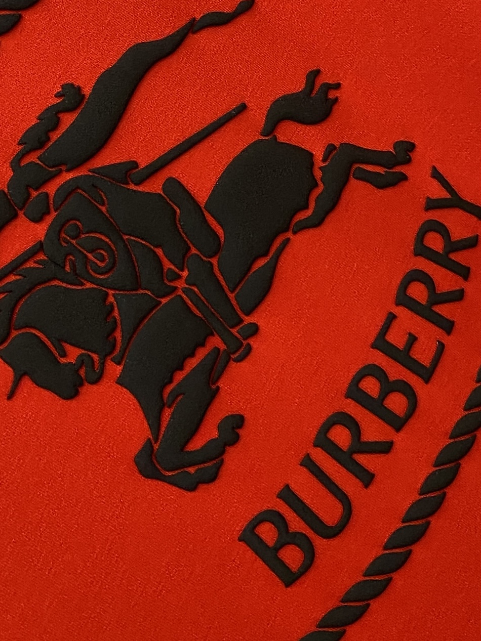 巴宝莉、2025最新款短袖T恤，帅气时尚，胸口顶级直喷工艺字母图案logo，简约百搭款。面料棉 不仅挺括