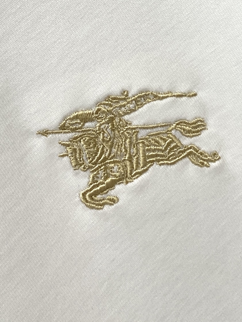 巴宝莉、2025最新款短袖T恤，帅气时尚，胸前精致刺绣图案logo，简约百搭款。面料棉 不仅挺括，保持潮
