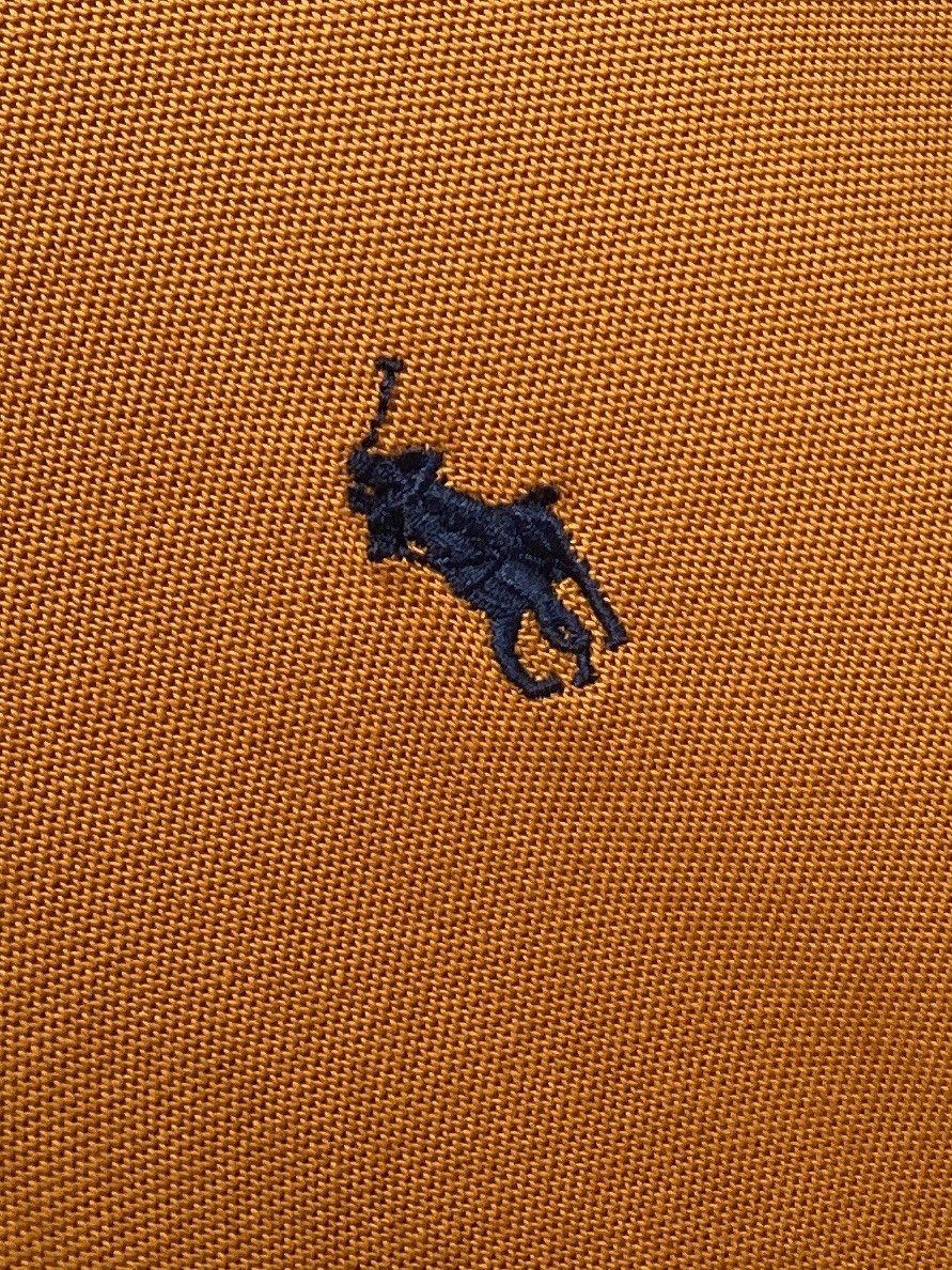POLO、2025新品长袖卫衣，帅气时尚，胸前精致刺绣图案logo，简约百搭款。面料棉 不仅挺括，保持潮