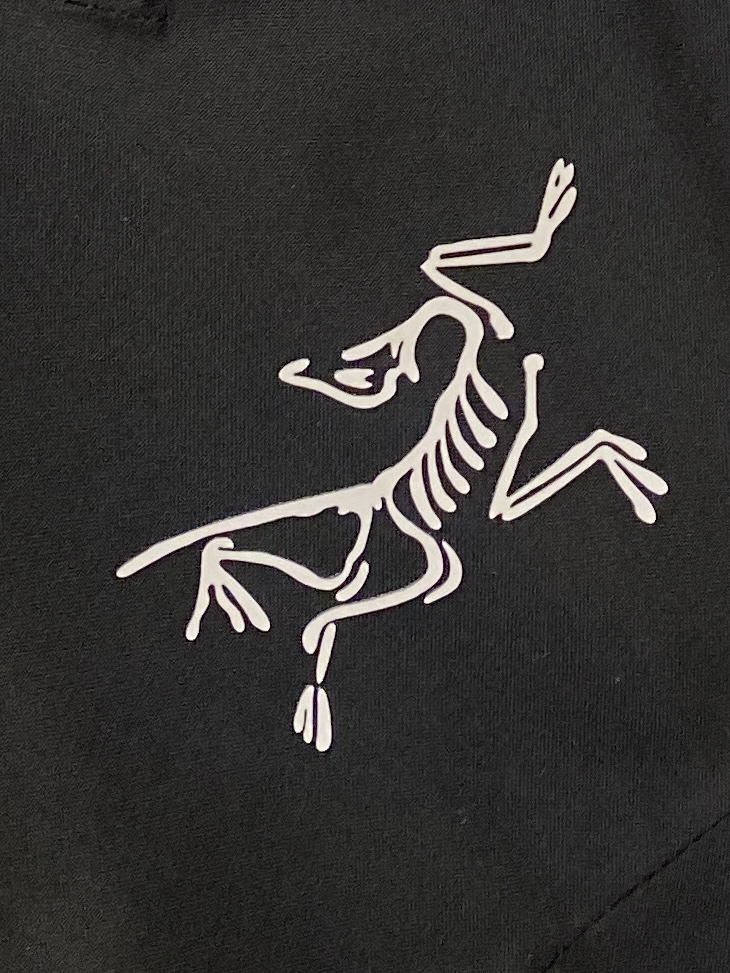 支持年后退换！ 最高版本【始祖鸟】 三合一功能性户外性能 防风，防雨，90绒，2025最新款男士轻薄羽绒