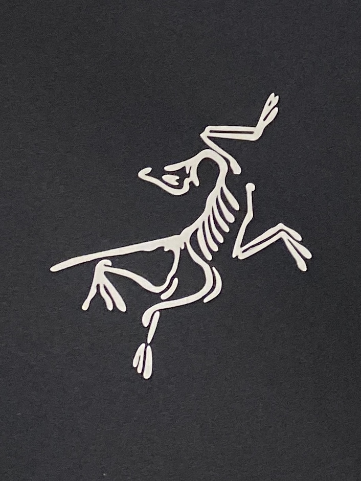 支持年后退换！ 最高版本【始祖鸟】 三合一功能性户外性能 防风，防雨，90绒，2025最新款男士轻薄羽绒