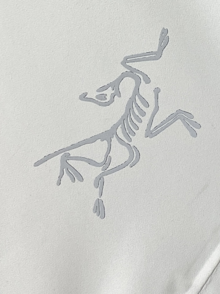 支持年后退换！ 最高版本【始祖鸟】 三合一功能性户外性能 防风，防雨，90绒，2025最新款男士轻薄羽绒