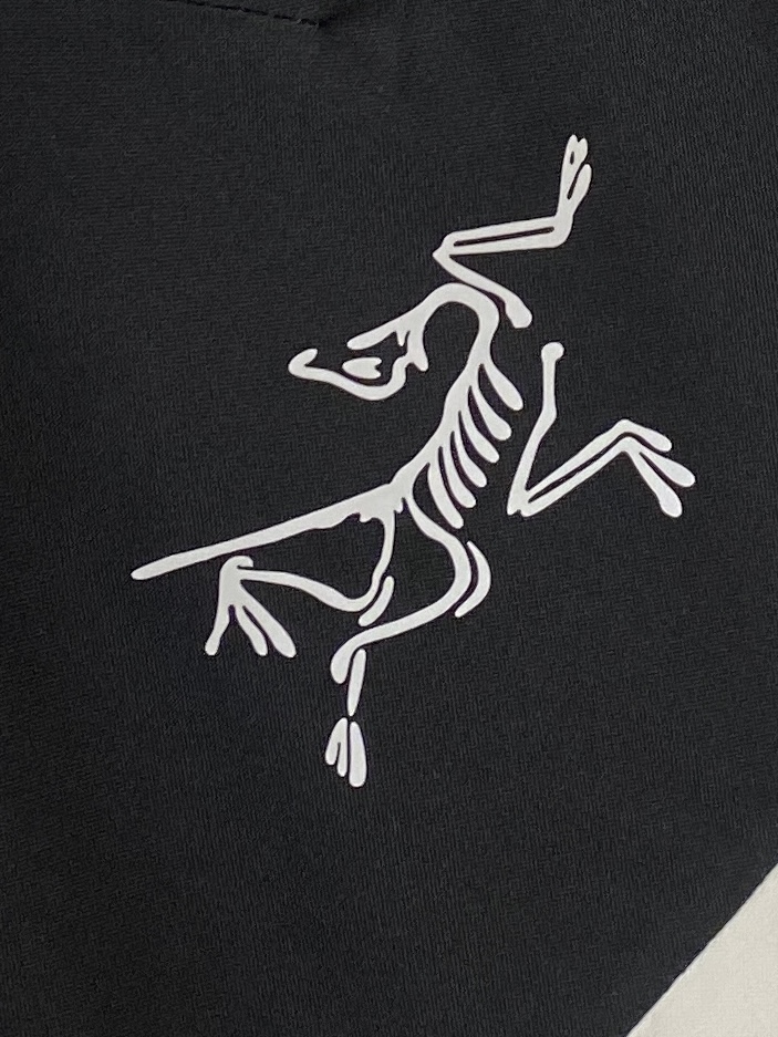 支持年后退换！ 最高版本【始祖鸟】 三合一功能性户外性能 防风，防雨，90绒，2025最新款男士羽绒服、