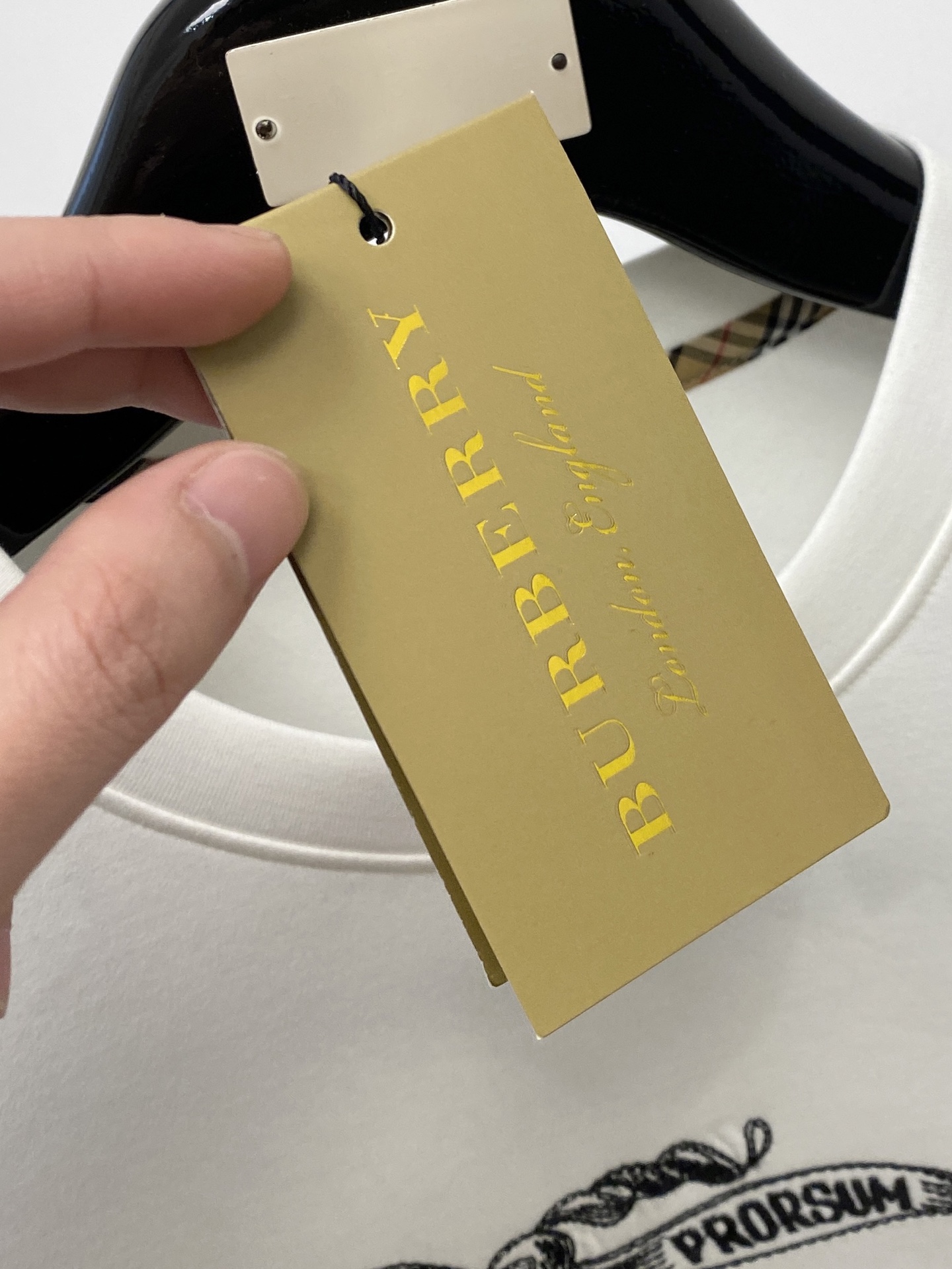 🌾退换！ 巴宝莉、2025新品长袖卫衣，帅气时尚，胸前精致刺绣图案字母logo，简约百搭款。面料棉 不仅