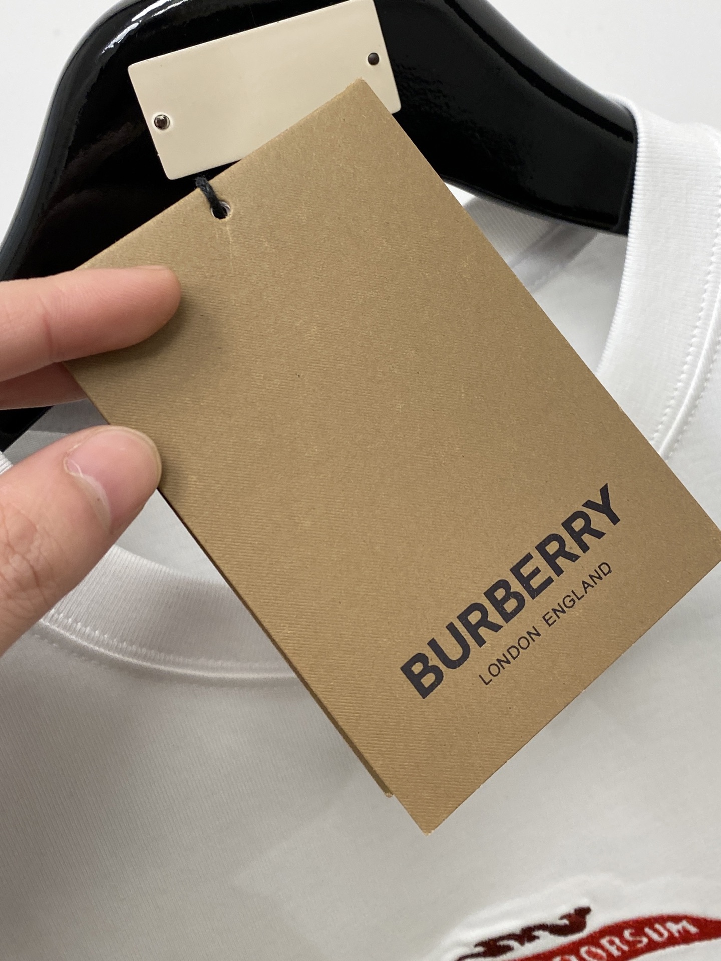 🌾退换！ 巴宝莉、2025新品短袖T恤，帅气时尚，胸前精致刺绣图案字母logo，简约百搭款。面料棉 不仅