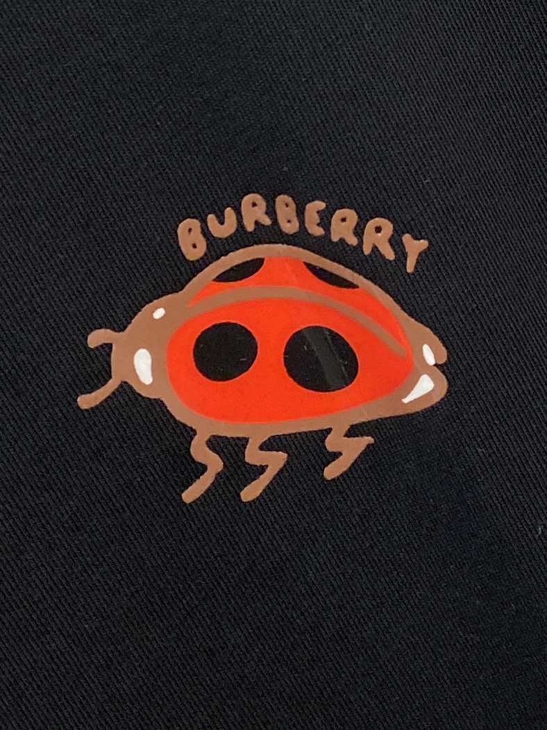 巴宝莉、2026新品短袖T恤，帅气时尚，胸前顶级印花图案字母logo，简约百搭款。面料棉 不仅挺括，保持