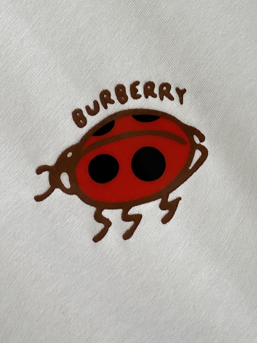 巴宝莉、2026新品短袖T恤，帅气时尚，胸前顶级印花图案字母logo，简约百搭款。面料棉 不仅挺括，保持