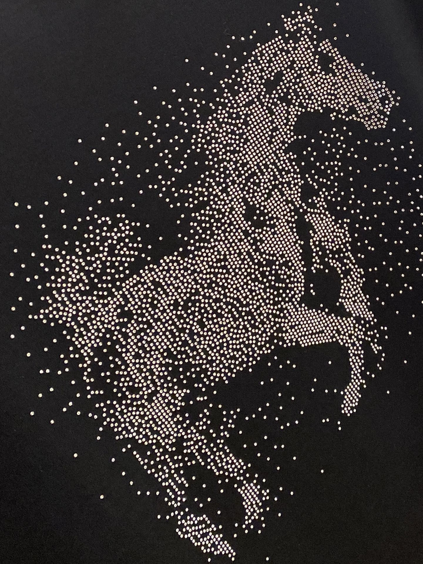 ￼爱马仕、2026新品短袖T恤，帅气时尚，胸前顶级烫钻图案logo，简约百搭款。面料棉 不仅挺括，保持潮