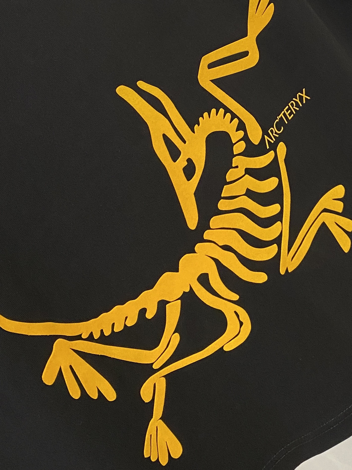 始祖鸟、2026新品短袖T恤，帅气时尚，简约百搭款。胸前顶级印胶图案logo，面料棉 不仅挺括，保持潮流