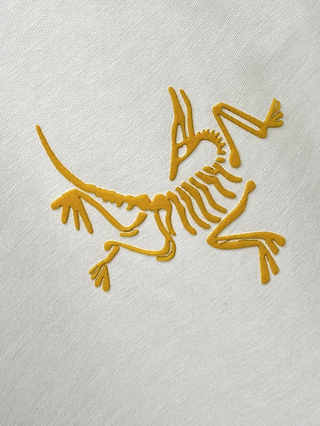 始祖鸟、2026新品短袖T恤，帅气时尚，简约百搭款。胸前顶级印胶图案logo，面料棉 不仅挺括，保持潮流