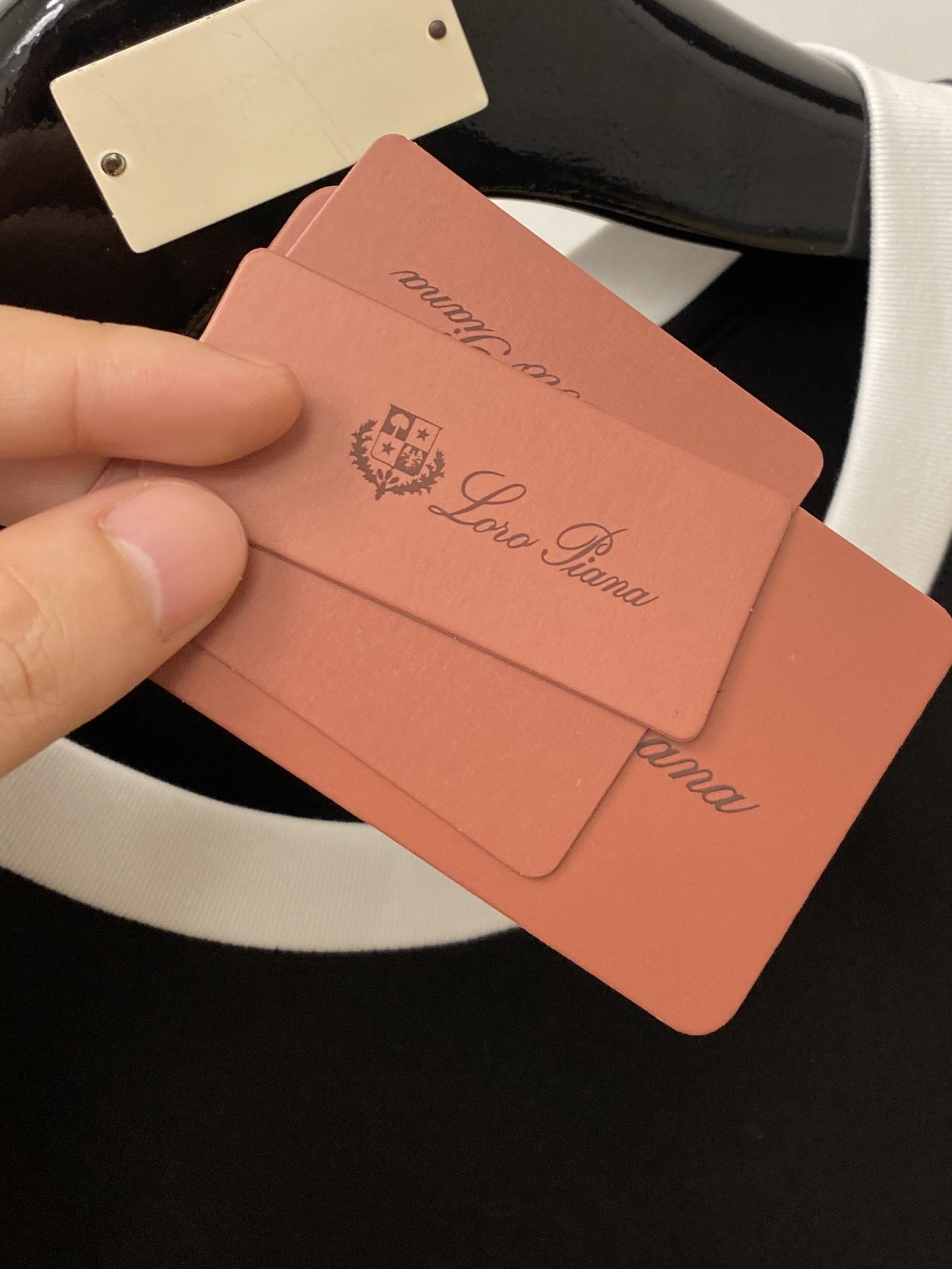 Loro Piana、2026新品短袖T恤，帅气时尚，胸前精致刺绣字母logo，简约百搭款。面料棉 不仅
