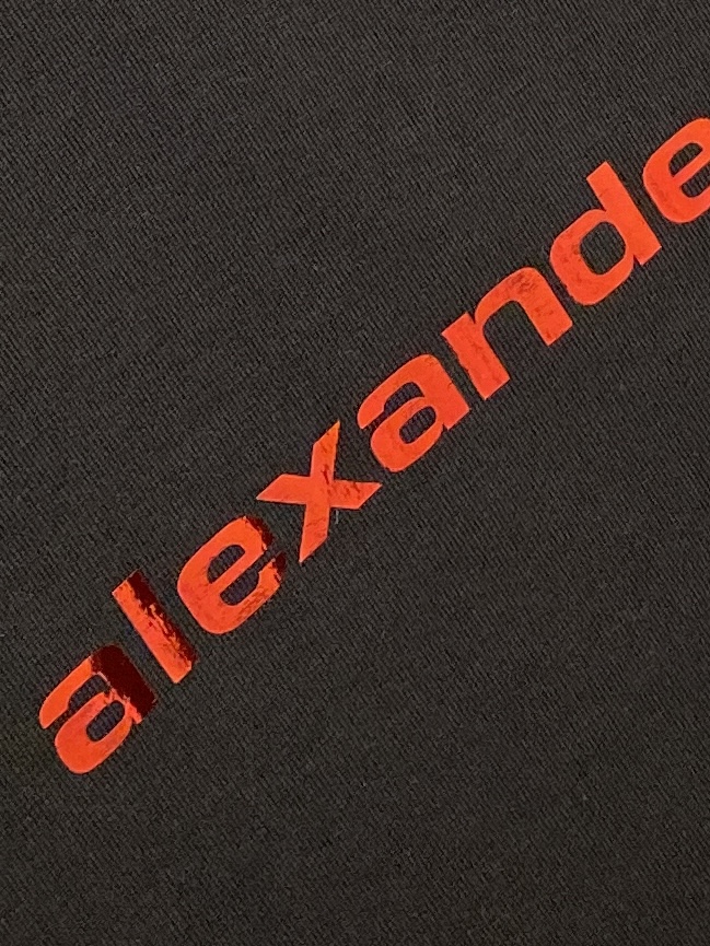 alexarderwang、2026新品短袖T恤，帅气时尚，胸前顶级印花字母logo，简约百搭款。面料棉