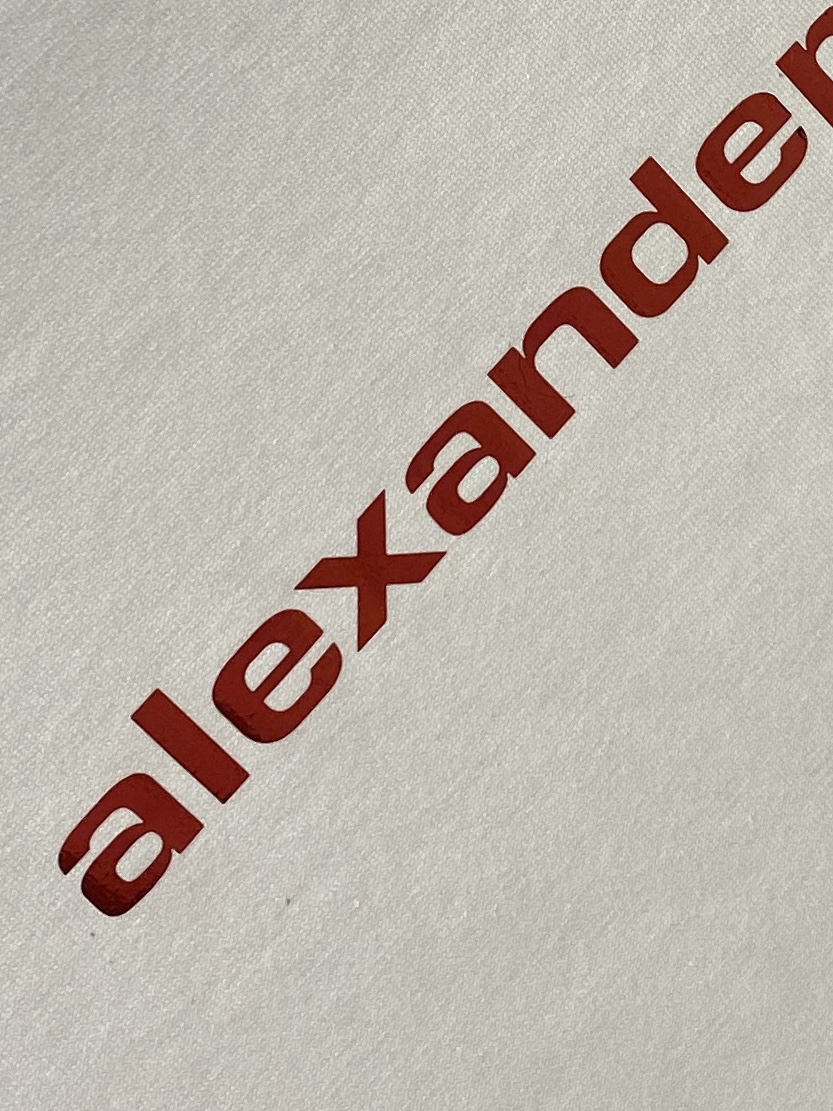 alexarderwang、2026新品短袖T恤，帅气时尚，胸前顶级印花字母logo，简约百搭款。面料棉