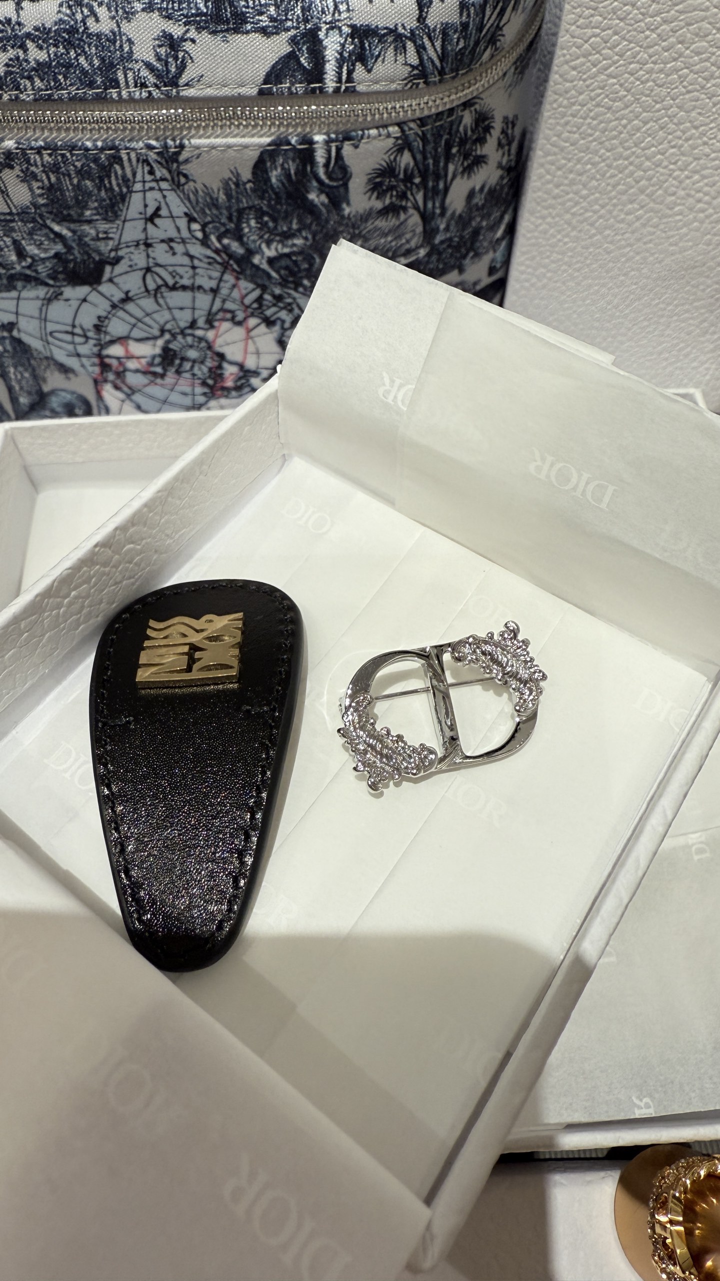 Dior CD Feather Brooch - Silver Finish, Unisex Design, Perfect Gift 6 i1740642054261 6481 0 4
