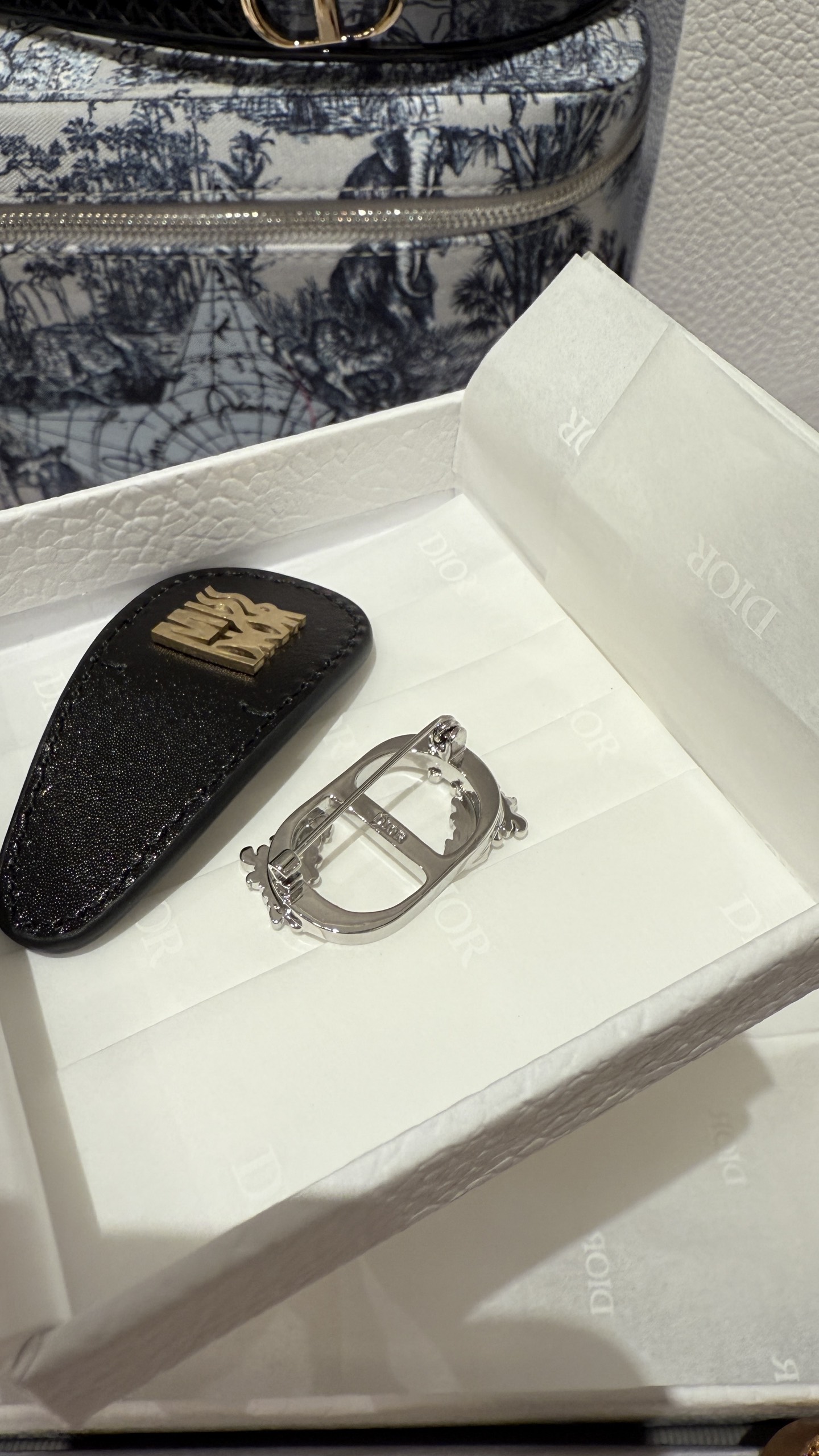 Dior CD Feather Brooch - Silver Finish, Unisex Design, Perfect Gift 5 i1740642054328 3460 0 3