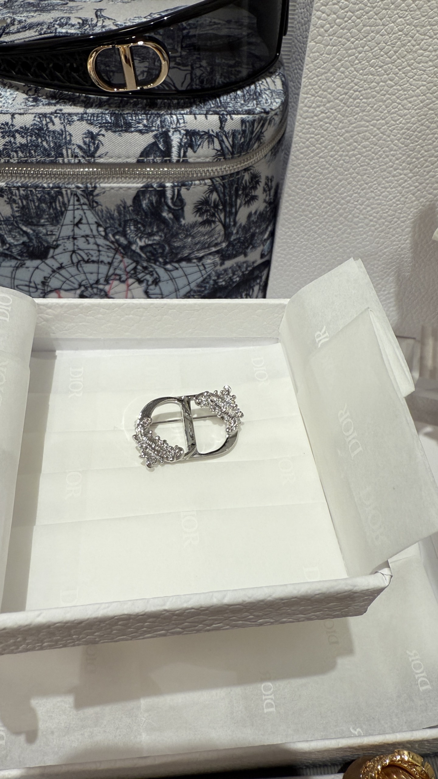 Dior CD Feather Brooch - Silver Finish, Unisex Design, Perfect Gift 3 i1740642054399 9463 0 1
