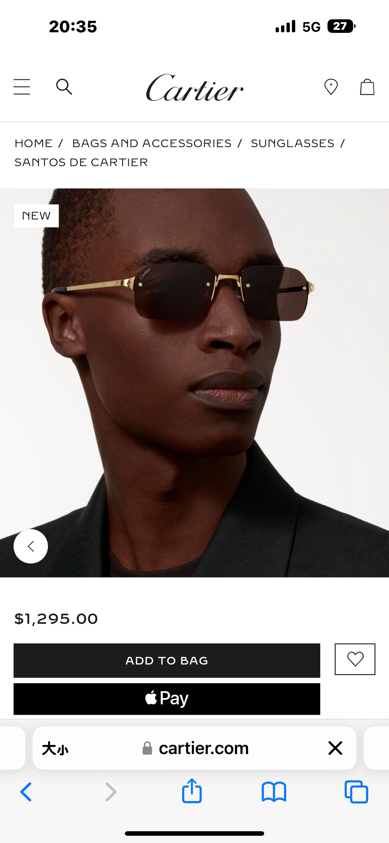Designer Sunglasses CT0460S