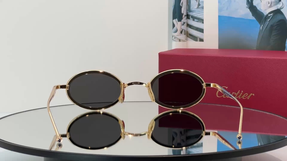 Designer Sunglasses CT0649S