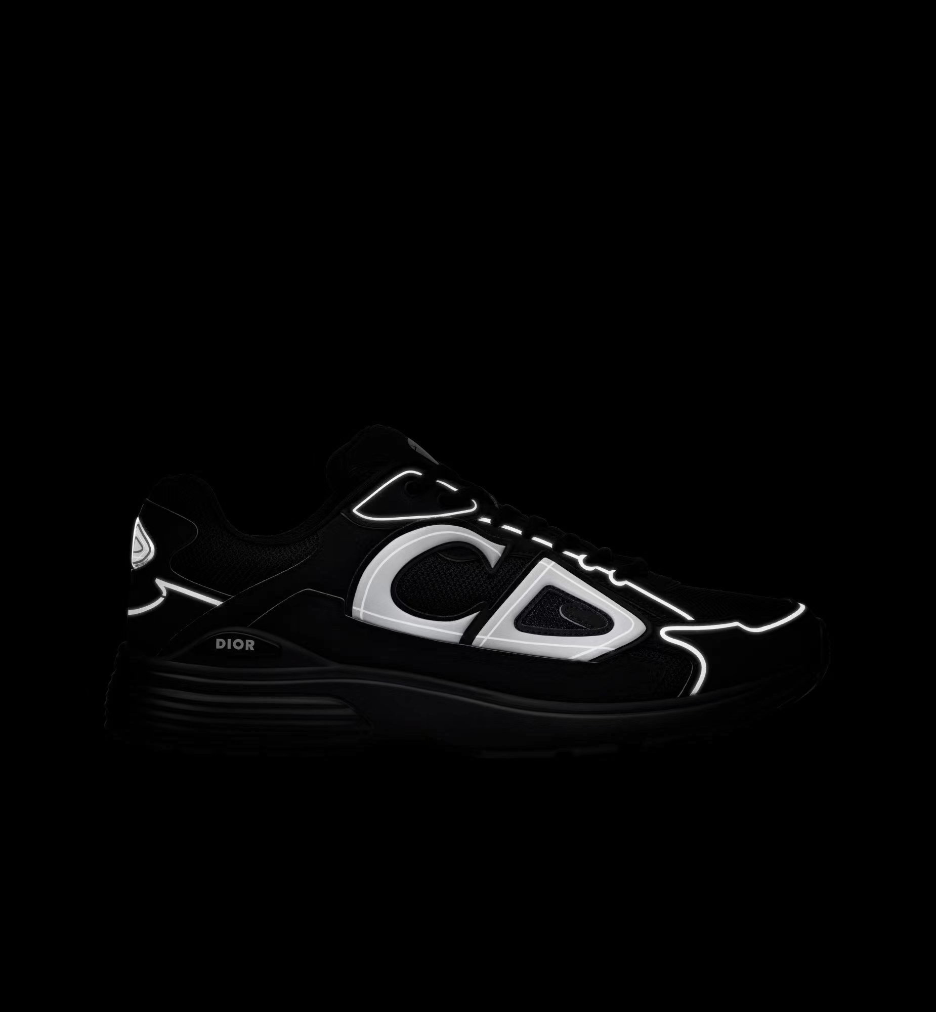 Imagen con efecto reflectante B30.