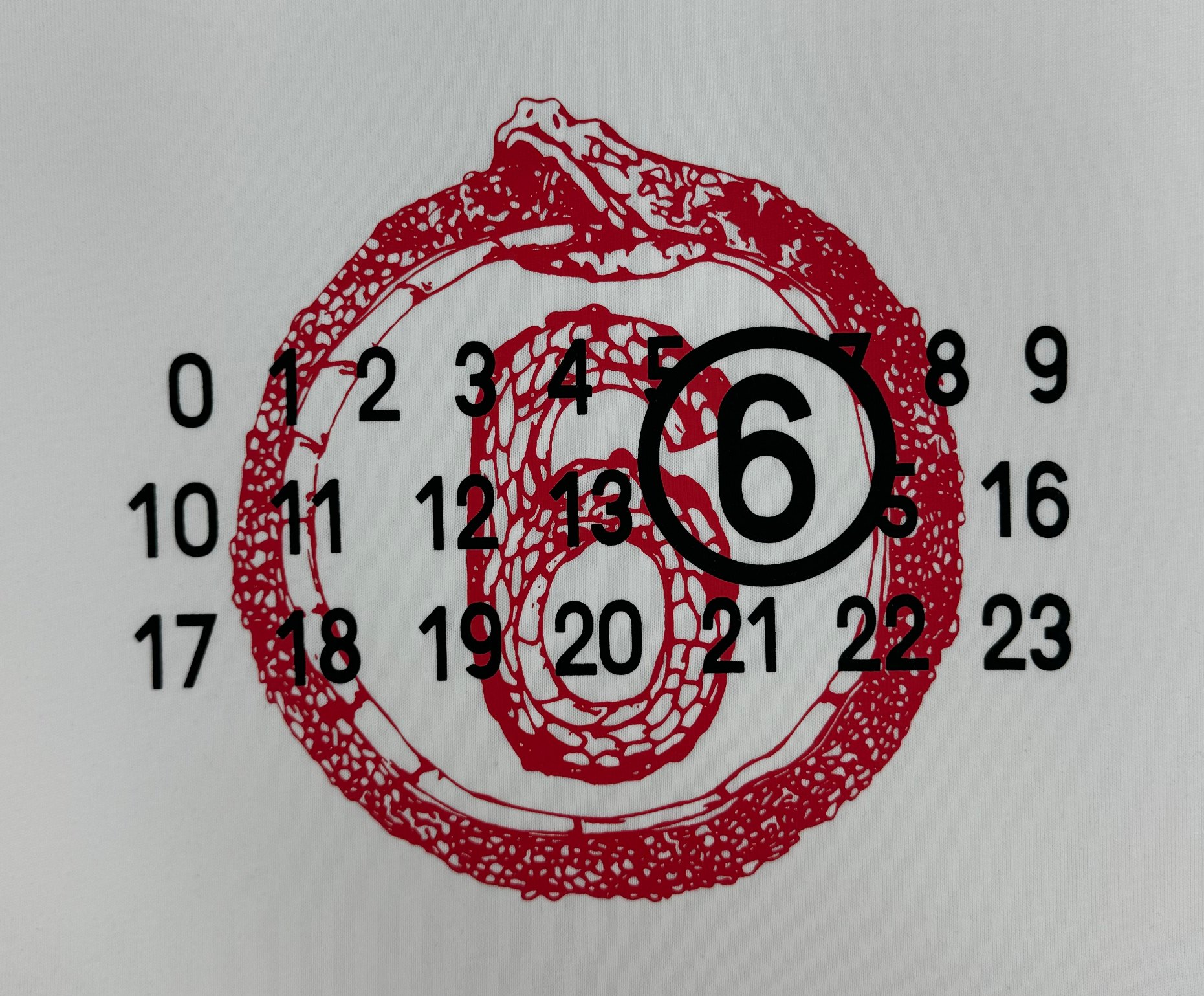 Miniatura 8