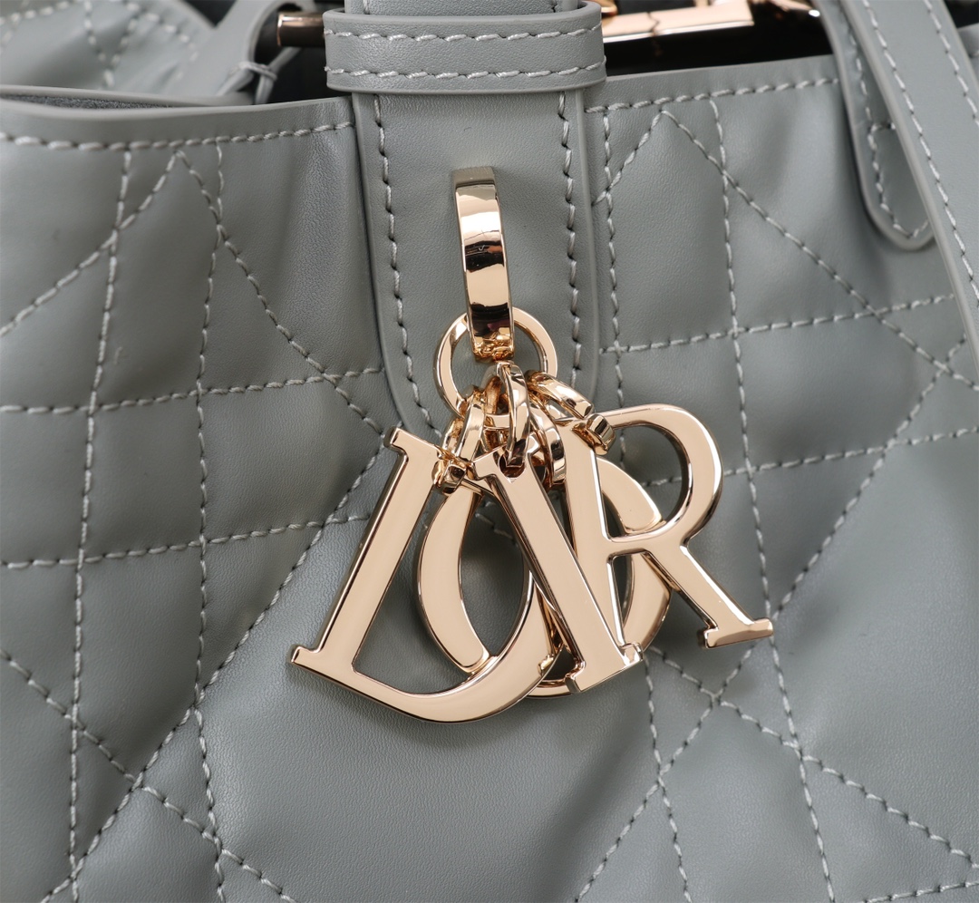 中号 DIOR TOUJOURS 手袋 2