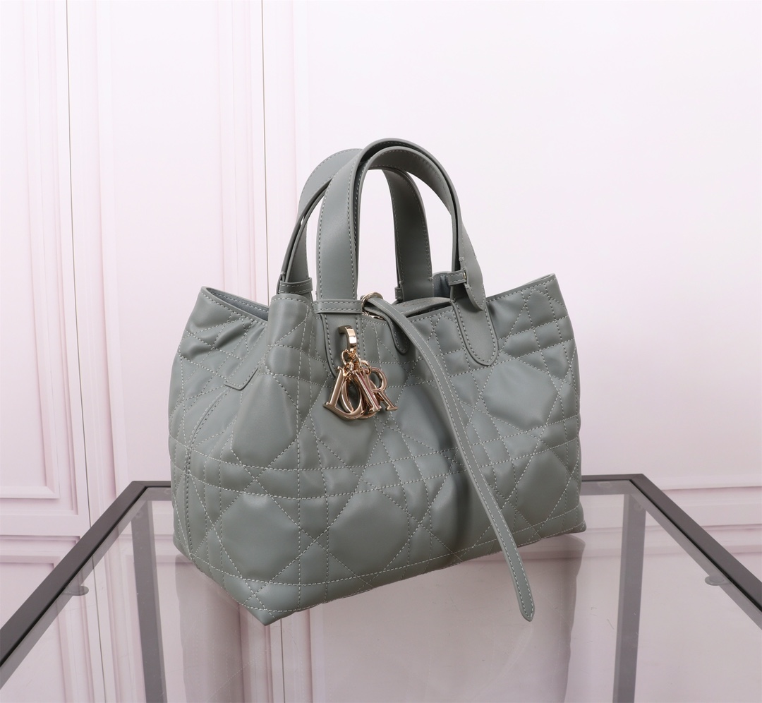 中号 DIOR TOUJOURS 手袋 3