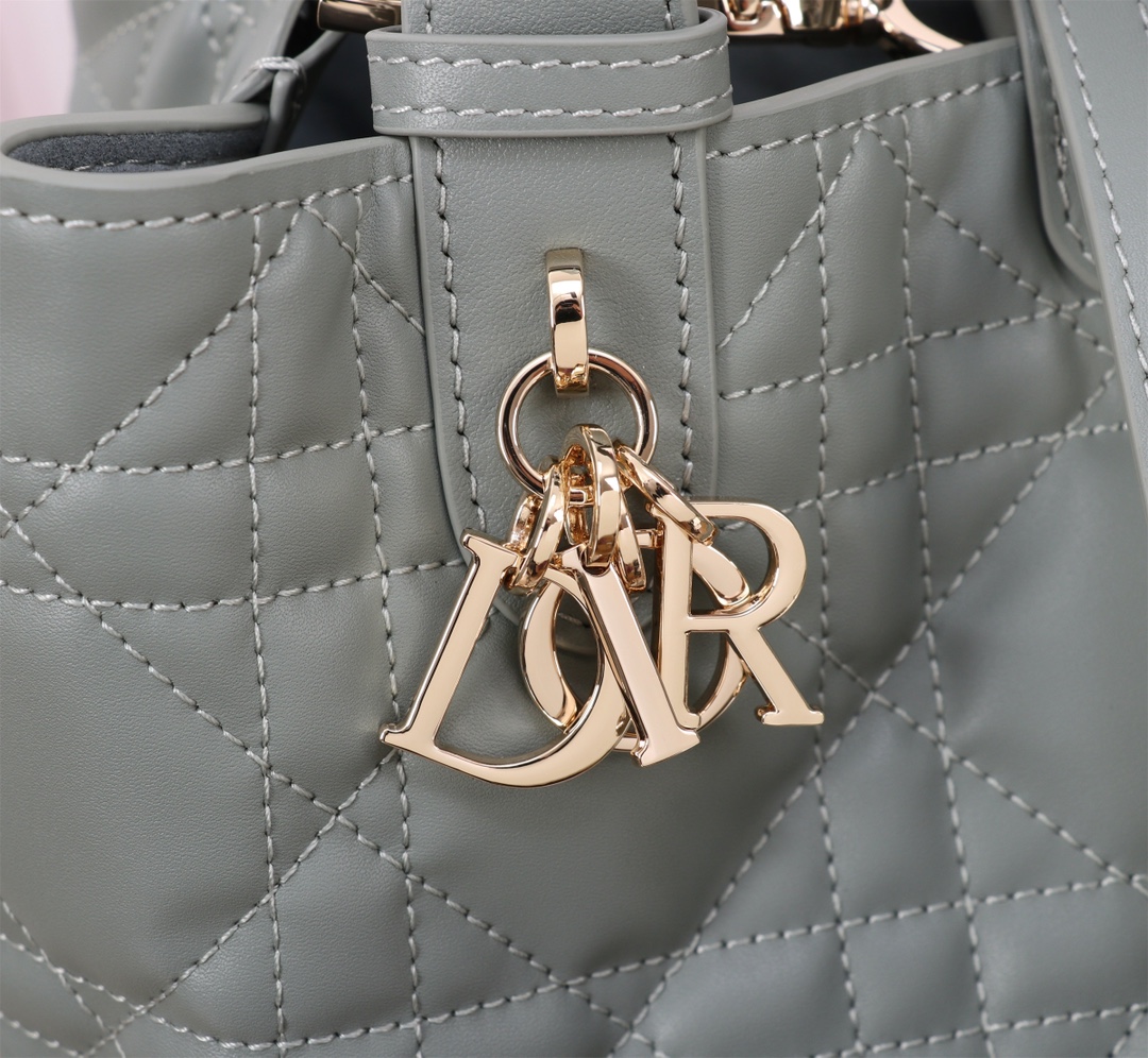 小号DIOR TOUJOURS 手袋 2