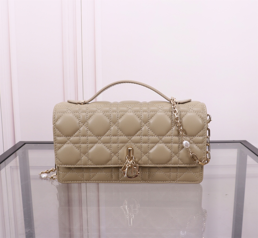 Das beste erschwingliche
 Dior Taschen Kupplungsbeutel Luxus kaufen 2024
 Schaffell Lady Ketten