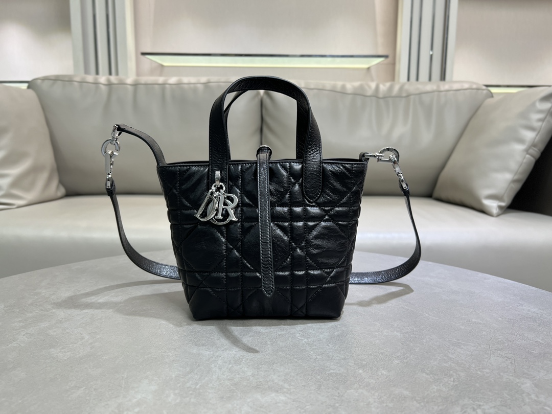 Este bolso vertical Dior Toujours es una novedad de la serie prêt-à-porter de principios de primavera de 2025. Es moder…