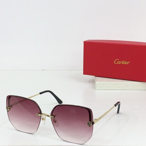 Cartier Sunglasses 1 Cartier Sunglasses
