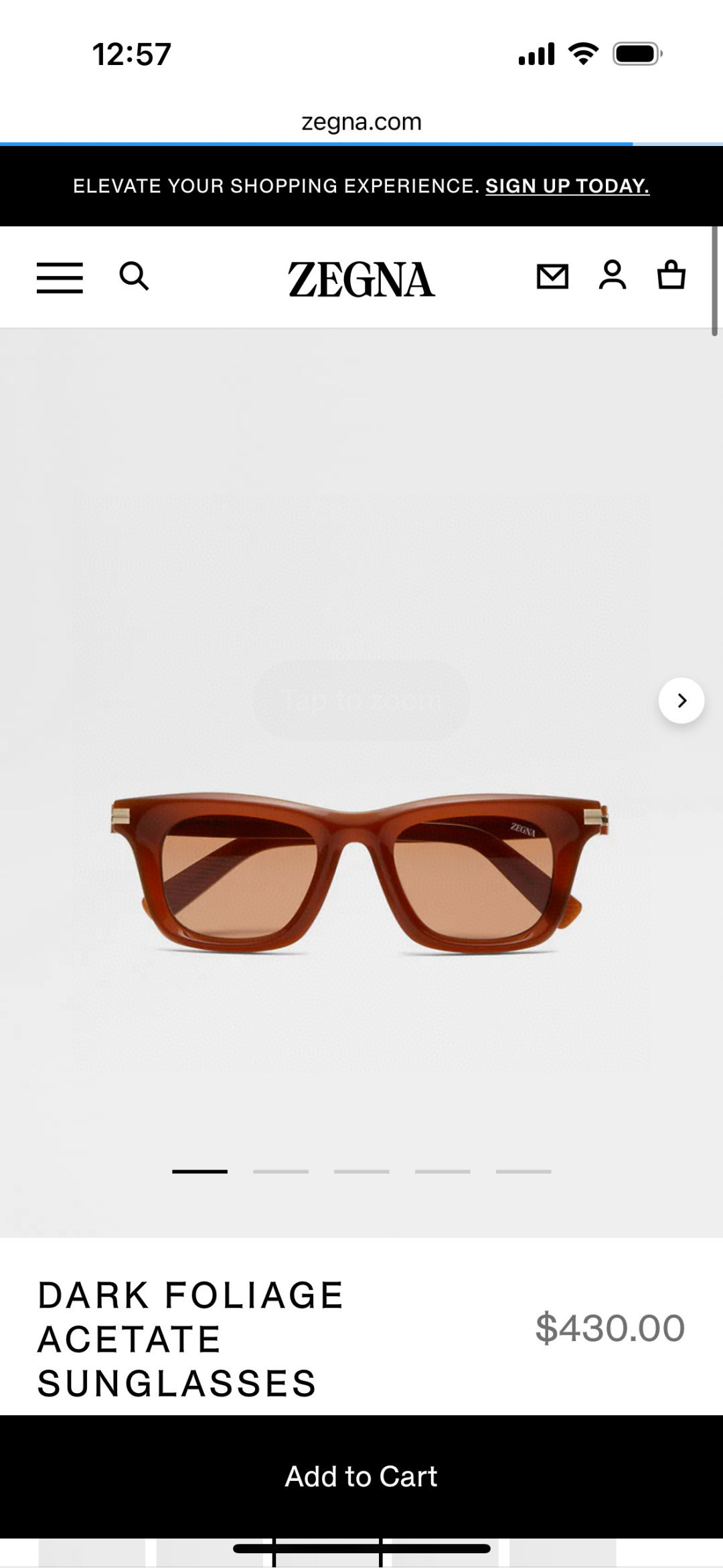 ToP quality ZEGNAMOD：EZ0270Size:49口21-145