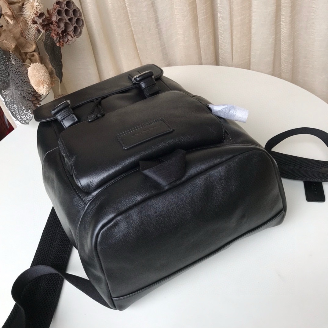Coach coach C2710 新款男士双肩登山包 男士背包 两侧有口袋 背后贴心网状设计 100％头层牛皮