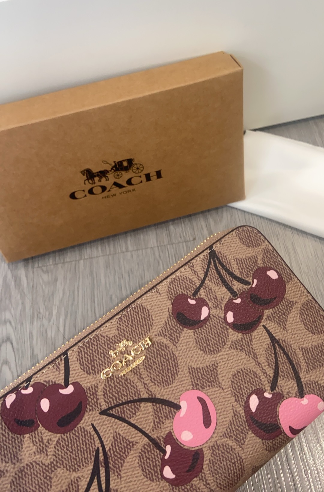 Coach COACH3月新品 CZ328