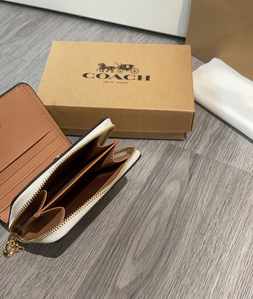 Coach Coach X史努比