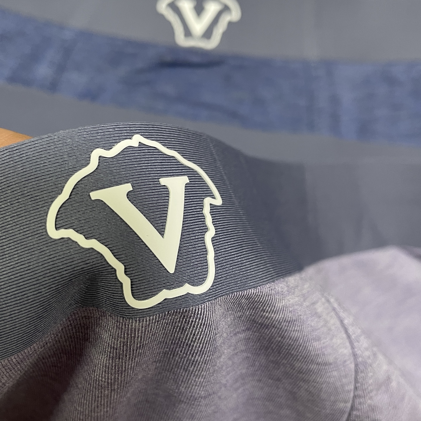 🔥🔥🔥新品！范思哲时尚男士内裤！ 外贸公司合作订单，经典立体硅胶logo印标 轻薄透设计，采用进口轻薄莫