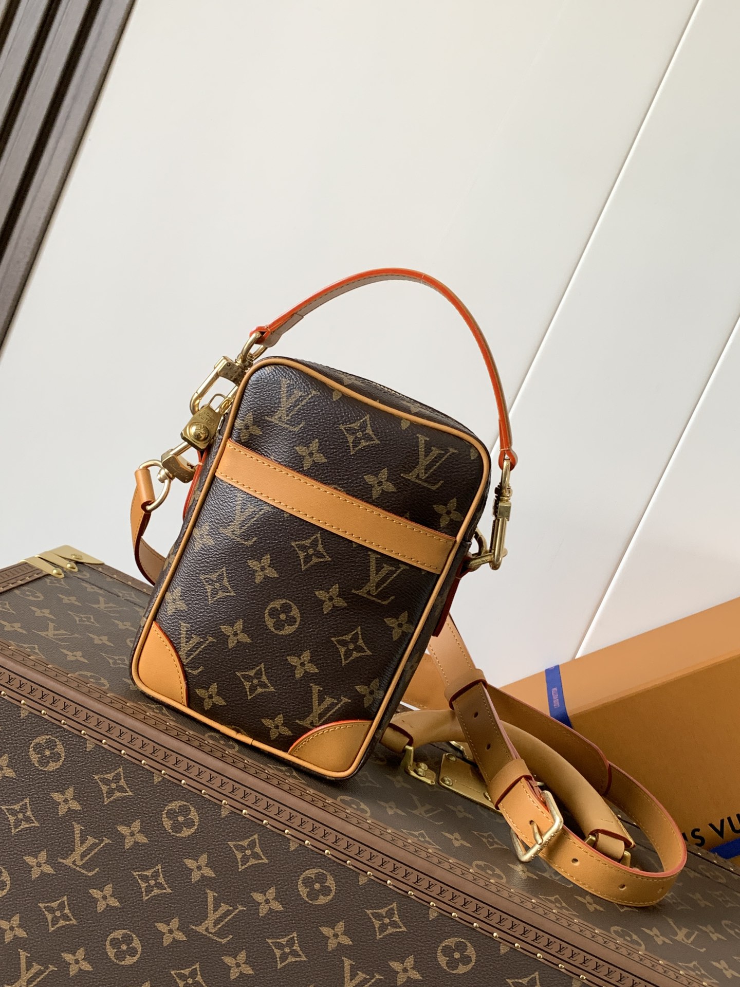 Louis Vuitton bag | lv女包