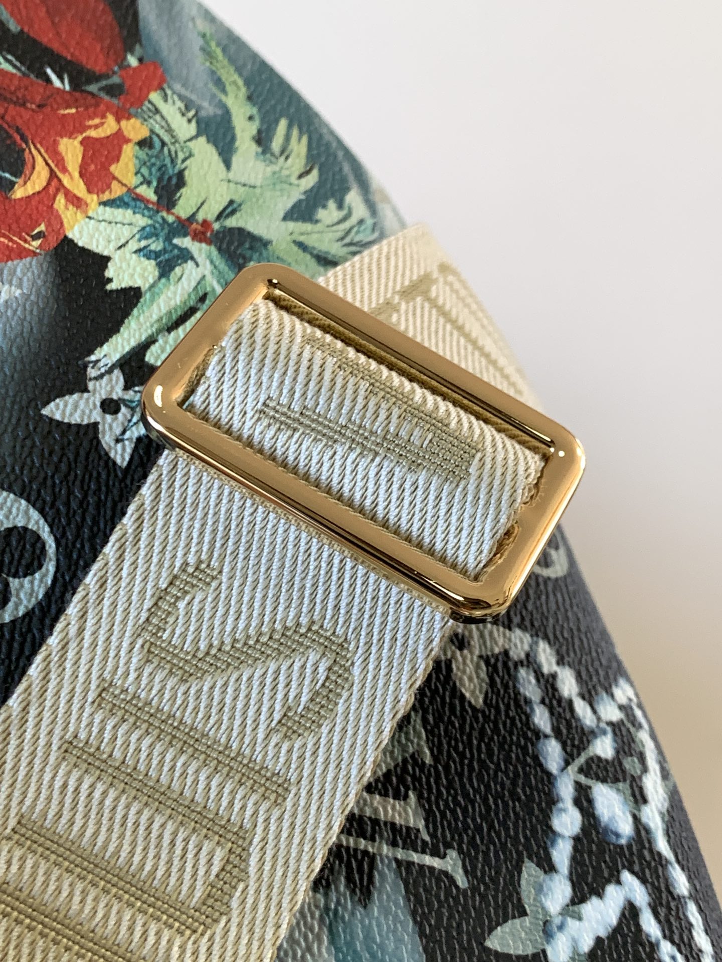 Louis Vuitton Monogram Craggy Rush Bum Bag, Designer Sling Bag, Tropical Flair 7 i1755327909 2448 1