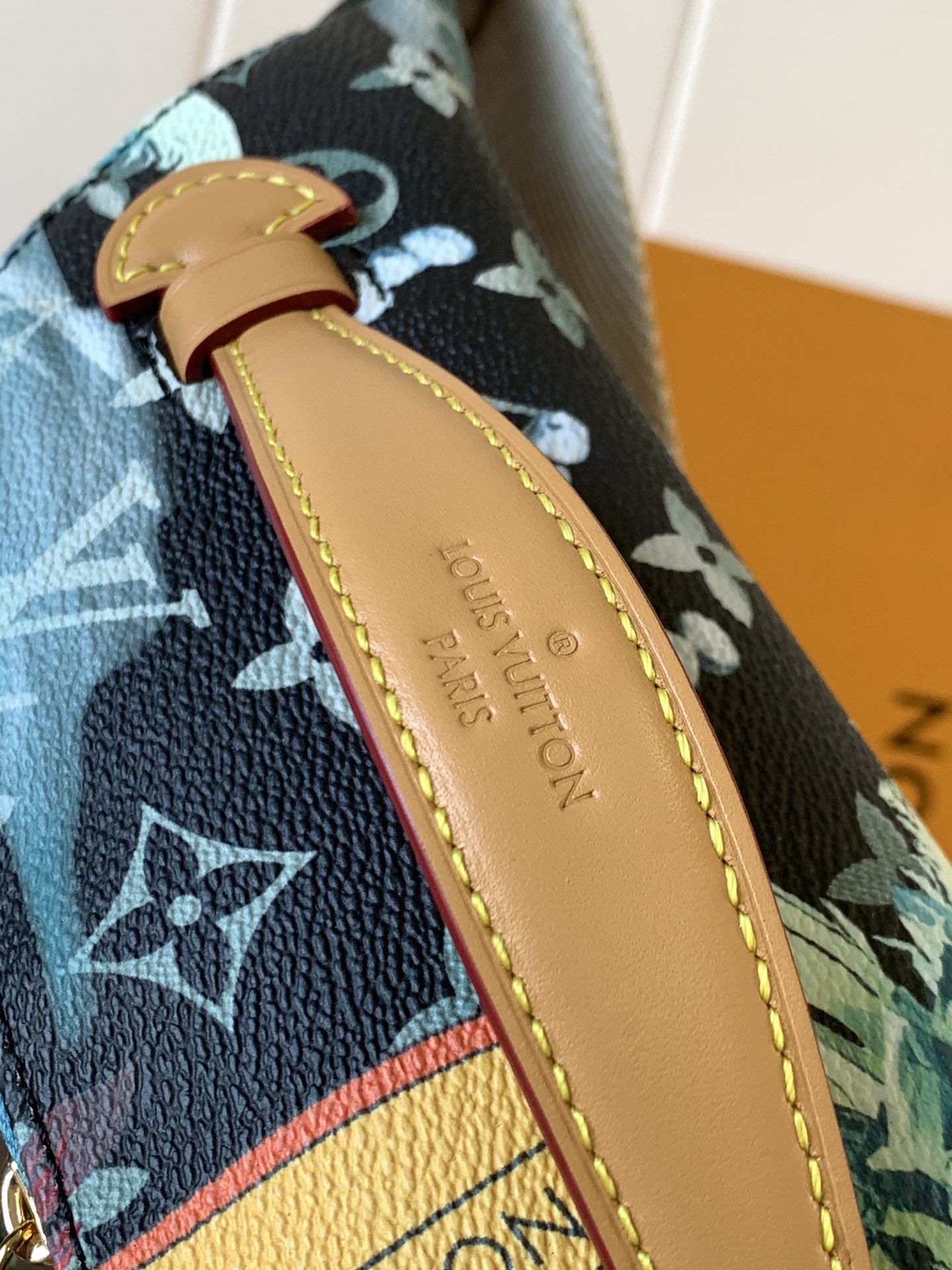 Louis Vuitton Monogram Craggy Rush Bum Bag, Designer Sling Bag, Tropical Flair 6 i1755327909 9321 0