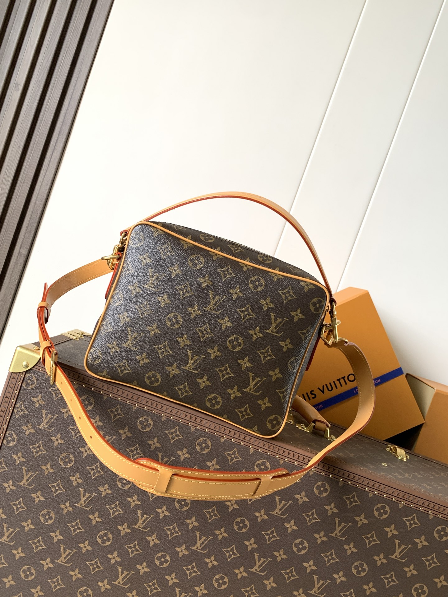 Сумка Louis Vuitton с монограммой