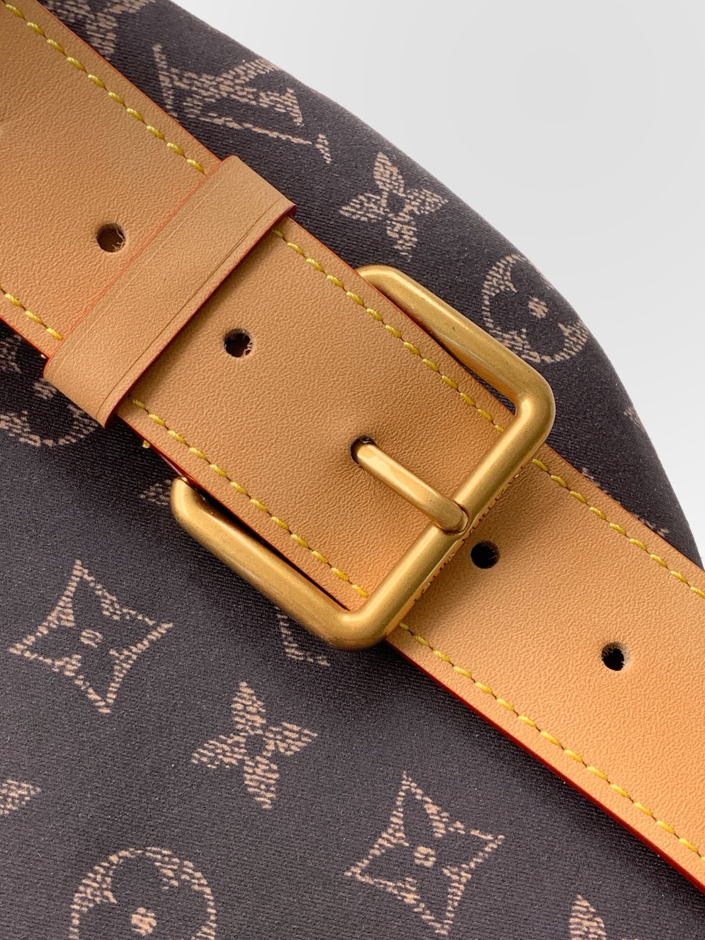 Louis Vuitton Monogram Zip Belt Bag