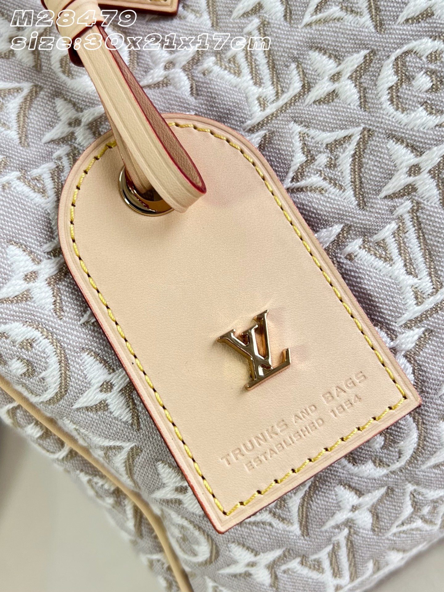 Louis Vuitton Luxury Handbag Collection 3